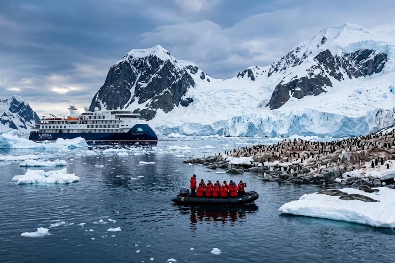 Aurora Expeditions Antarctic Season 2026-27 Brings 27 Polar Voyages With Wildlife Exploration and Science at Sea