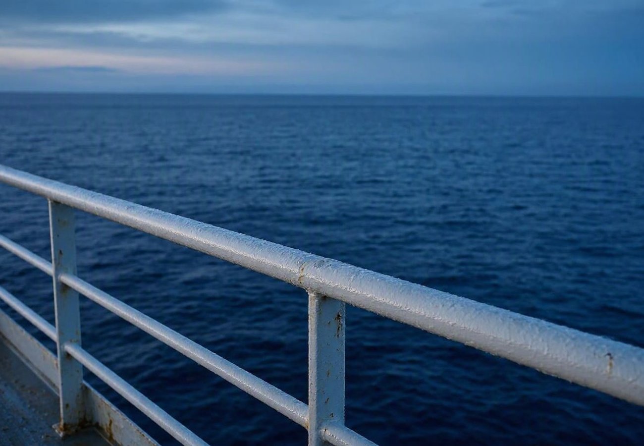 Carnival Panorama Overboard Incident: 1,707 Square Miles Searched for Missing California Father in 2026