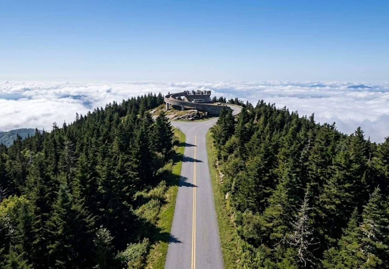 Paved mountain road leading toward the highest summit observation tower east of the Mississippi surrounded by evergreen spruce trees
