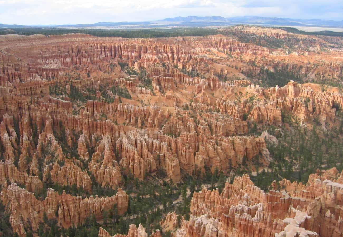 Crowded natural amphitheater of thousands of intricate orange and red rock hoodoos under a clear blue sky in Bryce Canyon