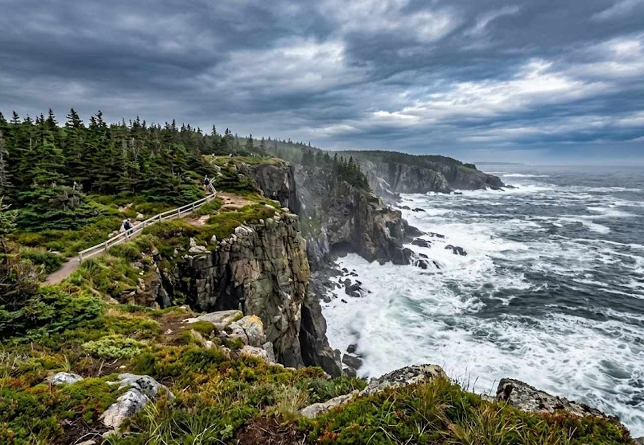Dramatic jagged ocean cliffs dropping into turbulent cold Atlantic waters surrounded by coastal spruce forests in Maine