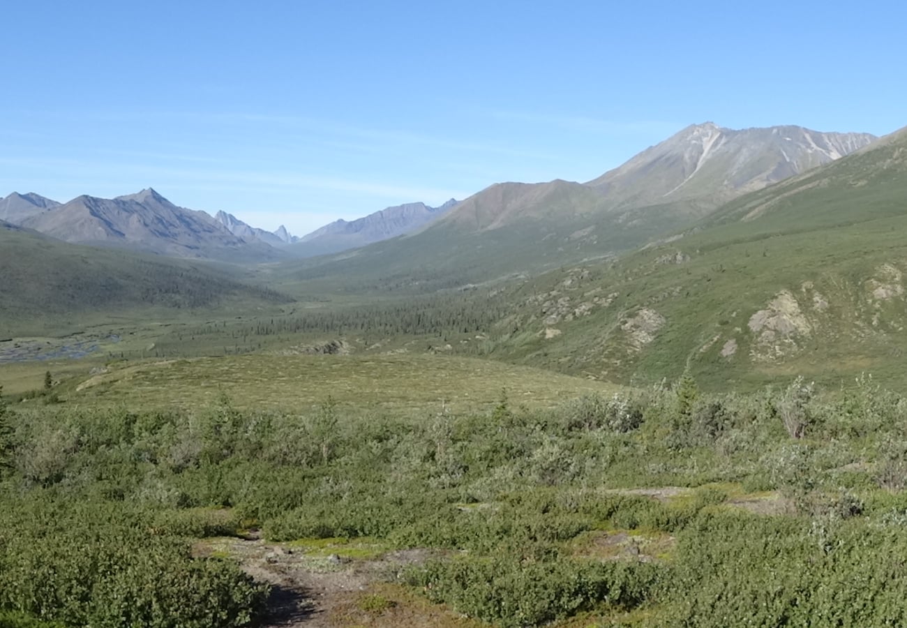 Jagged granite spires and tundra expanses in Tombstone Territorial Park along the Dempster Highway