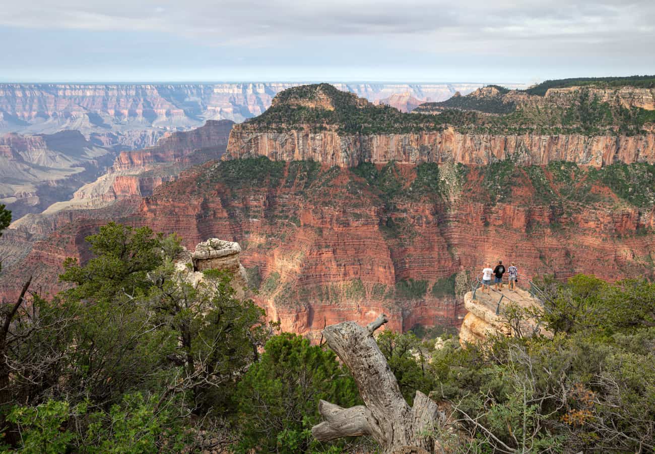 Sweeping panoramic overlook of temple formations and deep chasms from the Grand Canyon North Rim