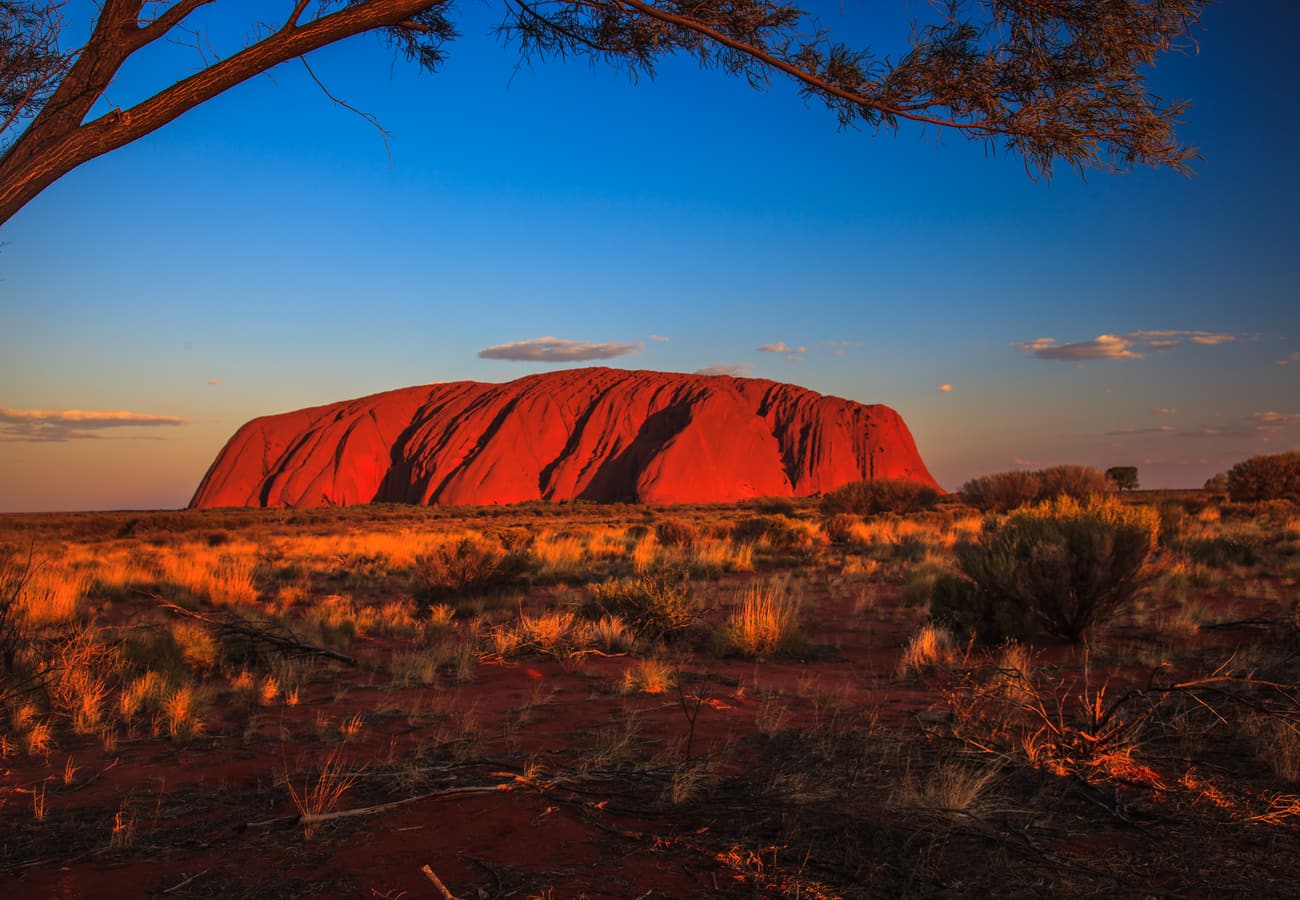 Uluru illuminated in deep crimson at sunset in the Australian Outback