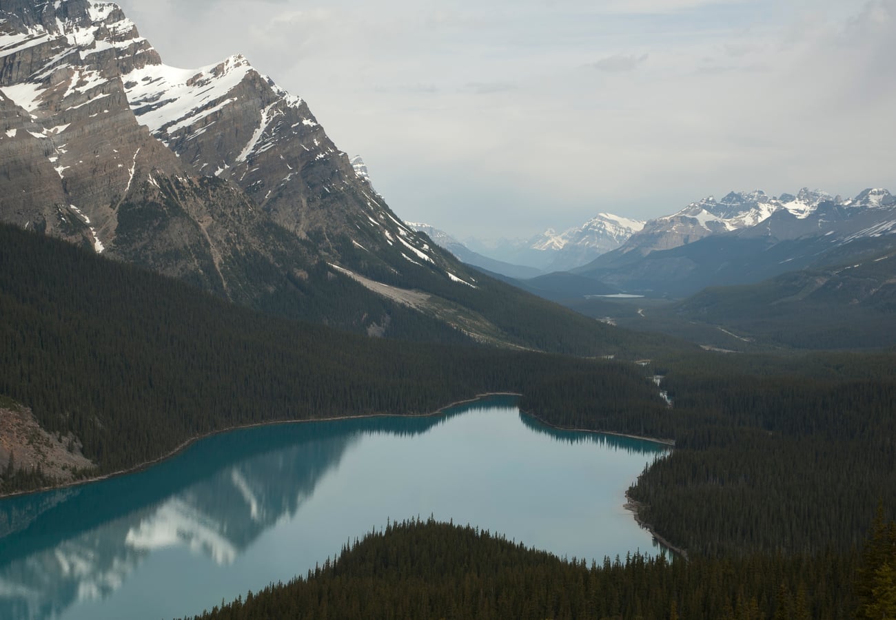 The iconic wolf-head shaped turquoise waters of Peyto Lake viewed from the Bow Summit alpine observation deck