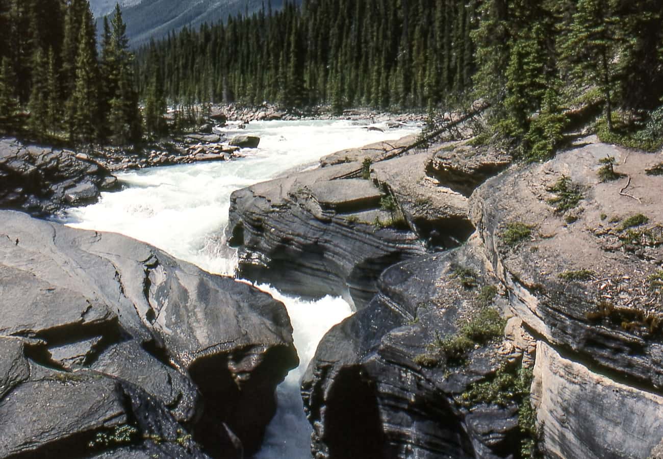 The swirling churning glacial torrents of the Mistaya River carving deep curvaceous limestone canyons