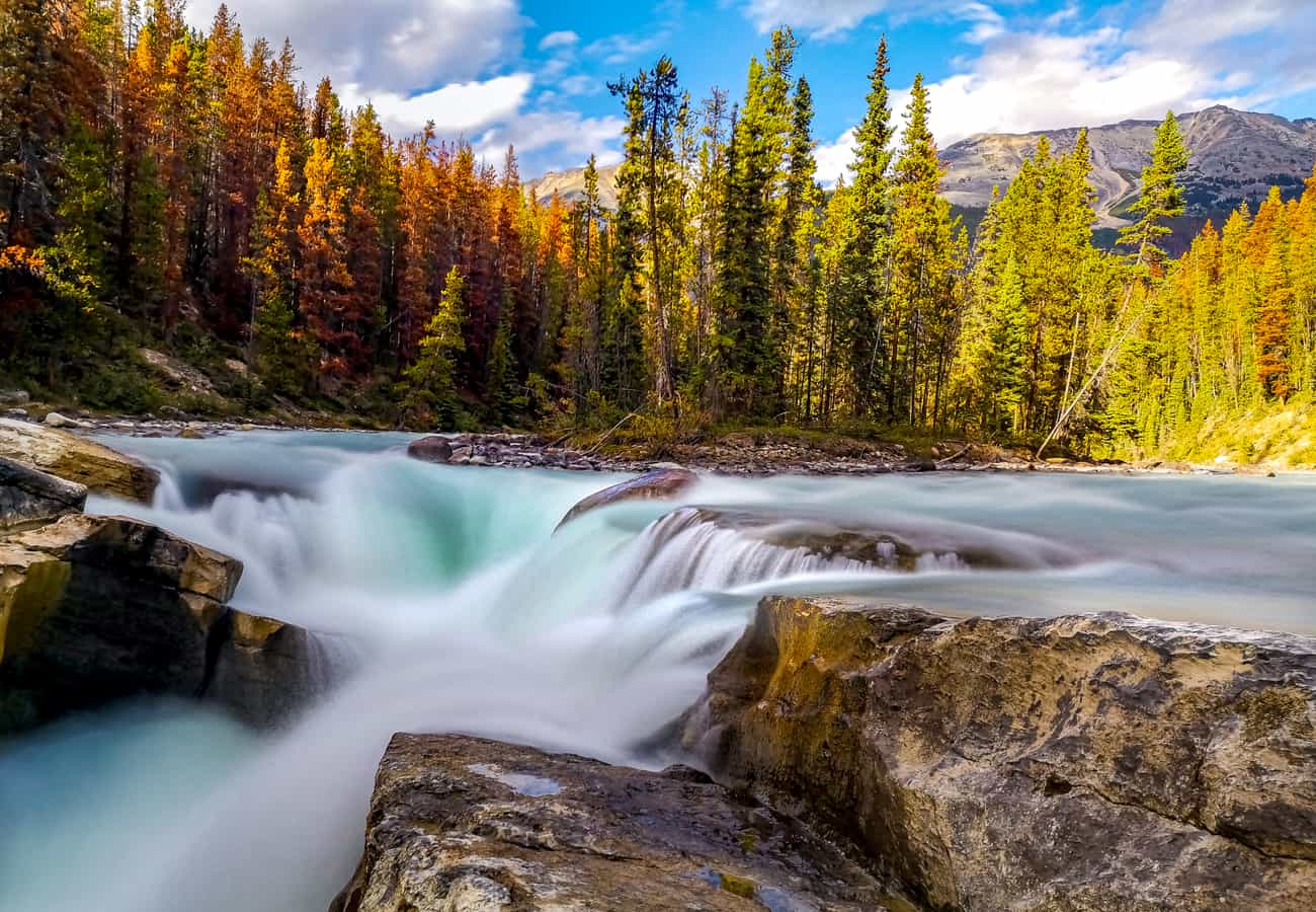The thundering class-6 rapids of Sunwapta Falls plunging into a deep limestone gorge in Jasper National Park