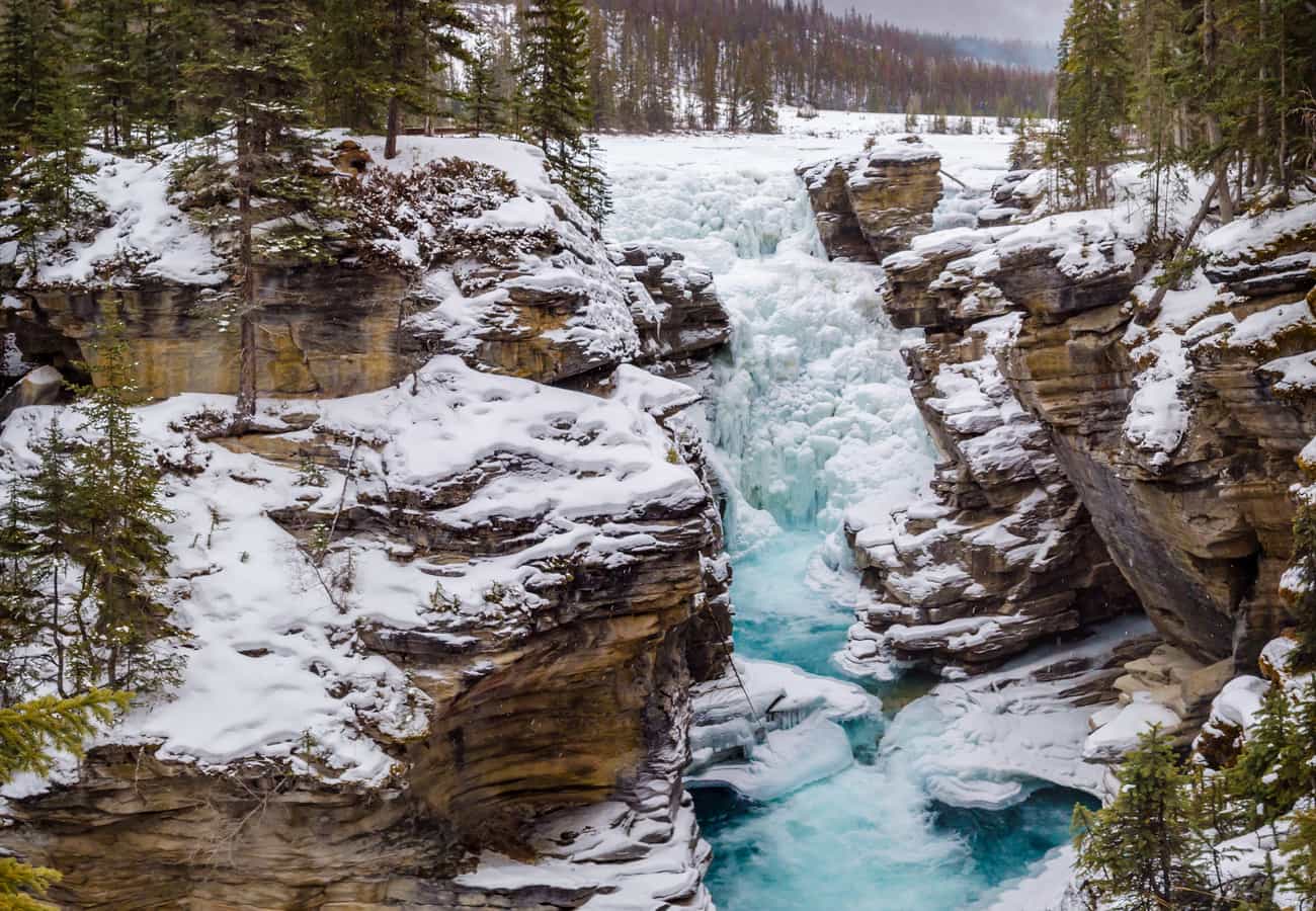 The immense hydraulic force of Athabasca Falls crashing over quartzite cliffs beneath Mount Kerkeslin