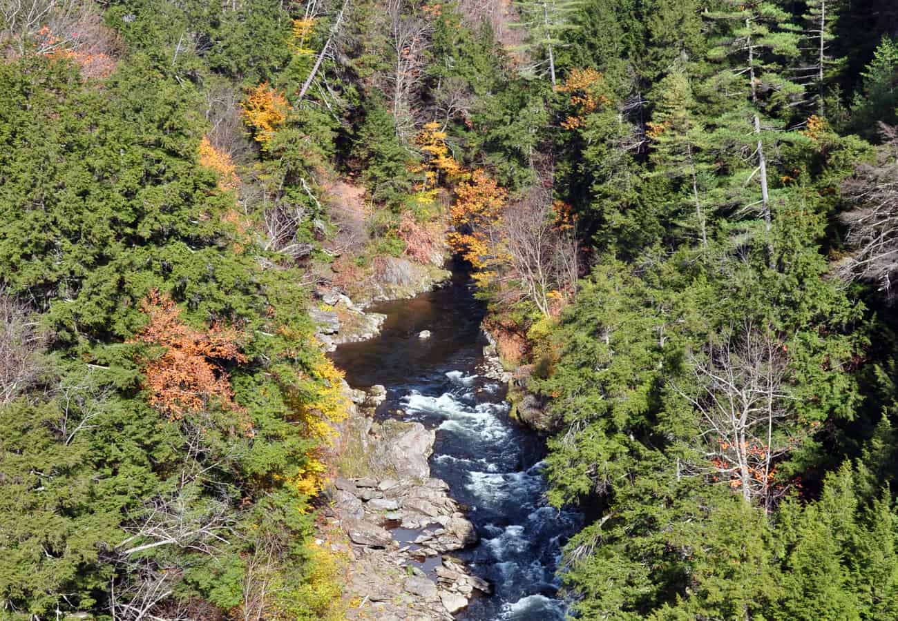 The deep forested chasm of Quechee Gorge in Vermont