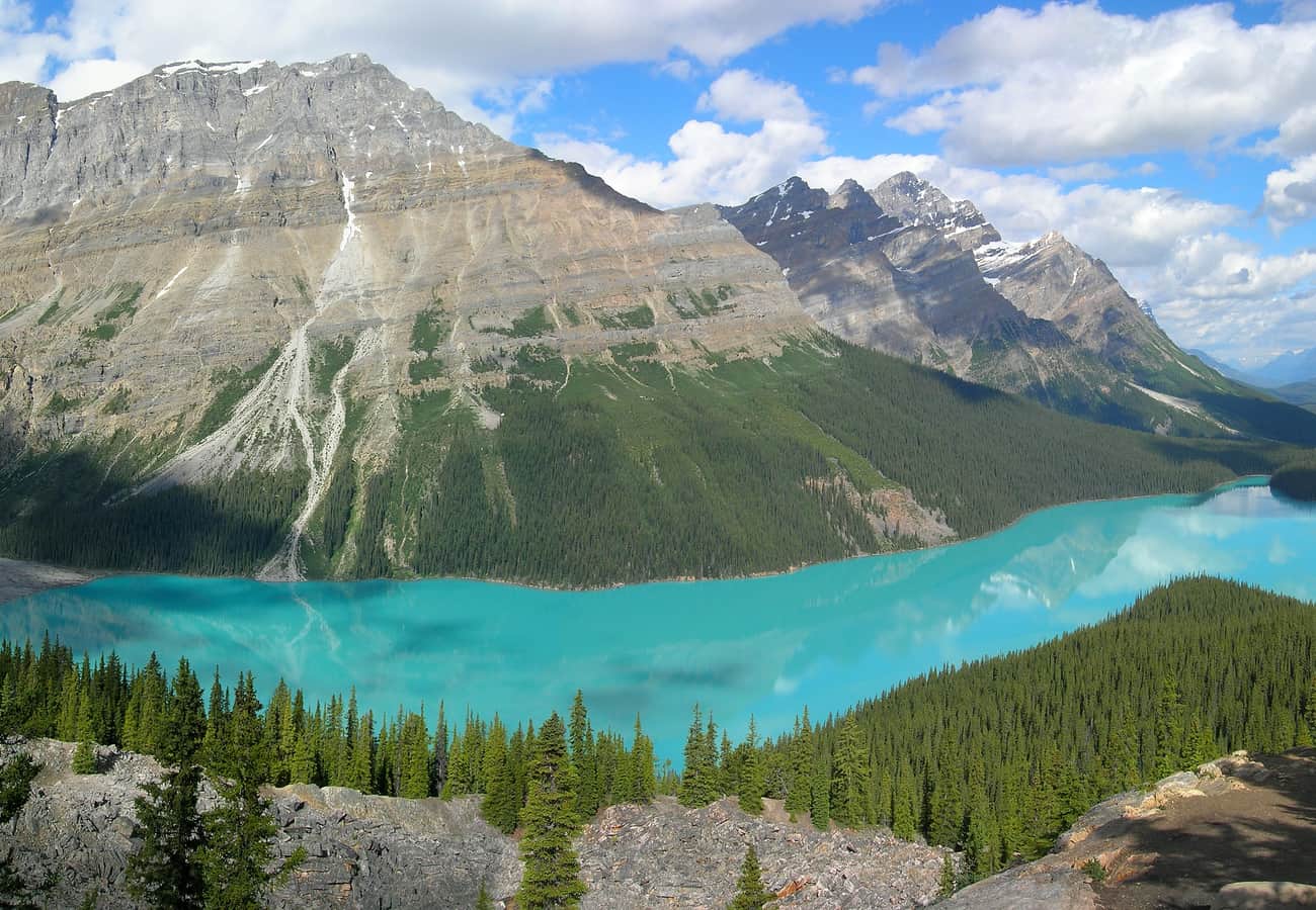 Brilliant turquoise basin of Peyto Lake viewed from Bow Pass