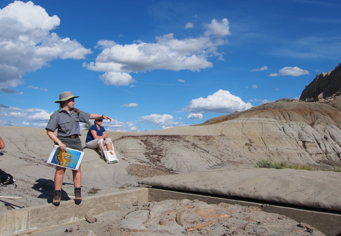 Eroded sandstone hoodoos and badlands coulees in Dinosaur Provincial Park