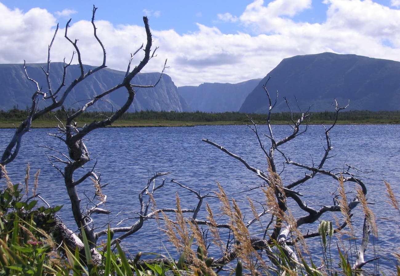 Freshwater fjord cliffs of Western Brook Pond in Gros Morne National Park