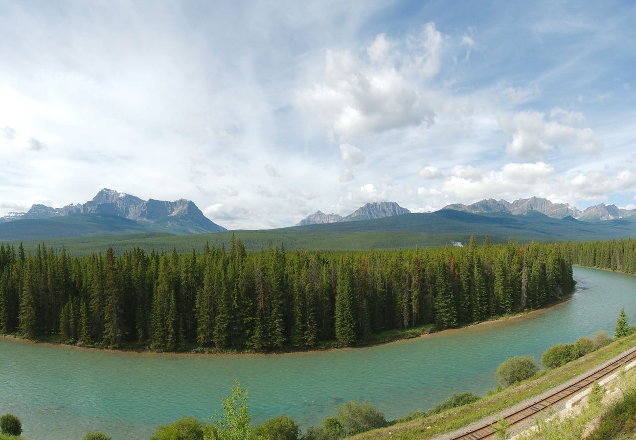 Quiet pine-fringed Bow Valley Parkway curving toward Castle Mountain