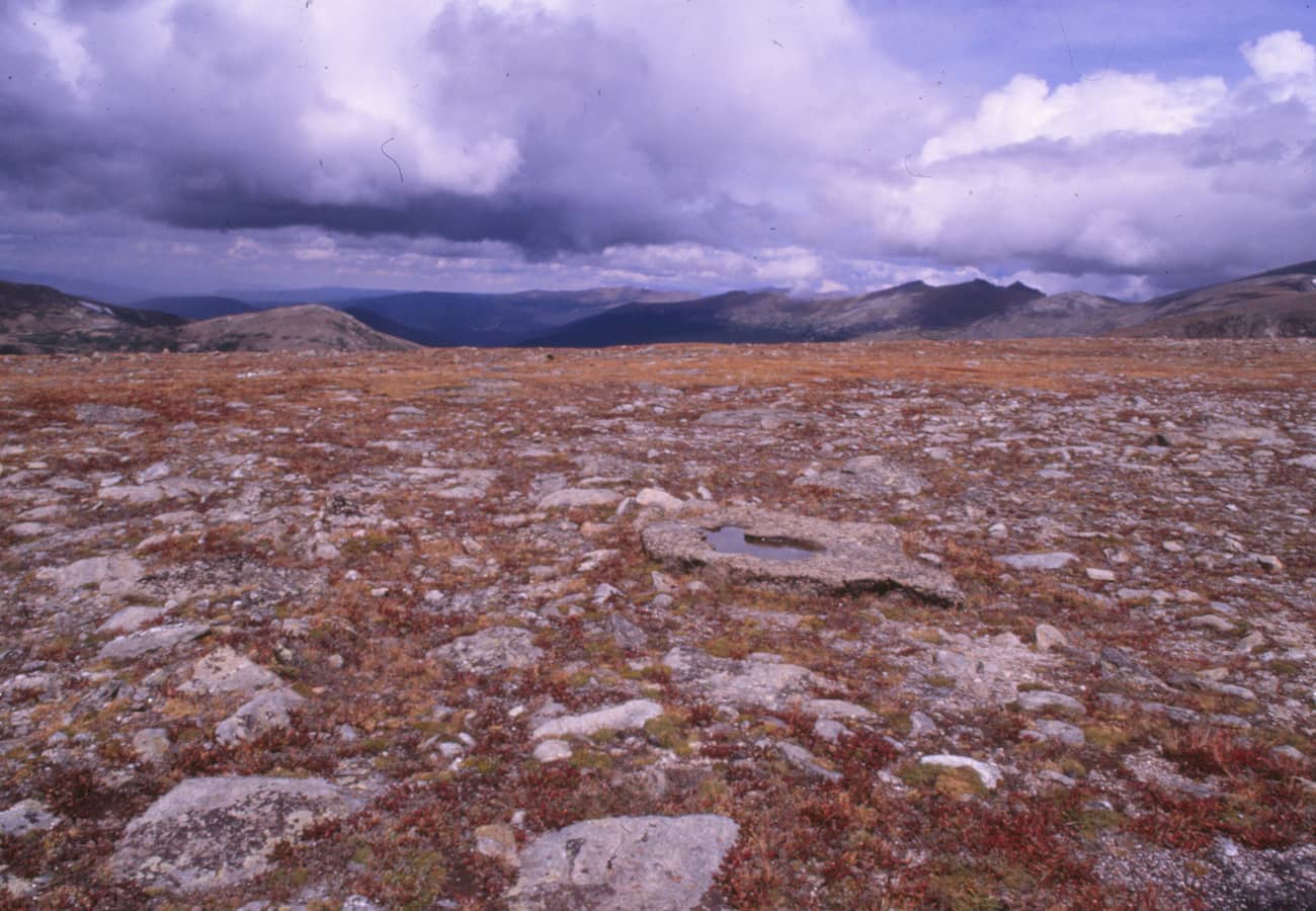 Trail Ridge Road winding through fragile alpine tundra in Rocky Mountain National Park