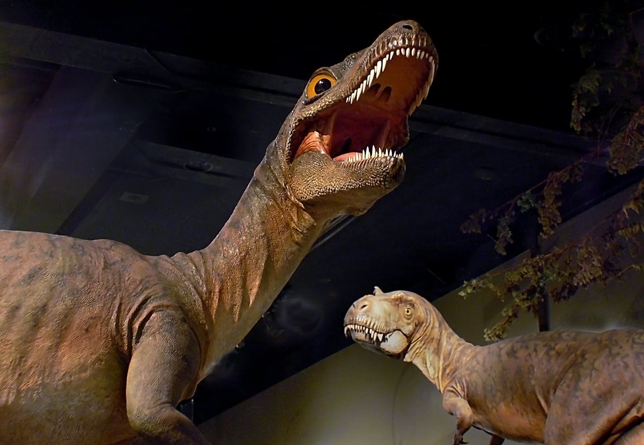 Royal Tyrrell Museum badlands in Drumheller Alberta