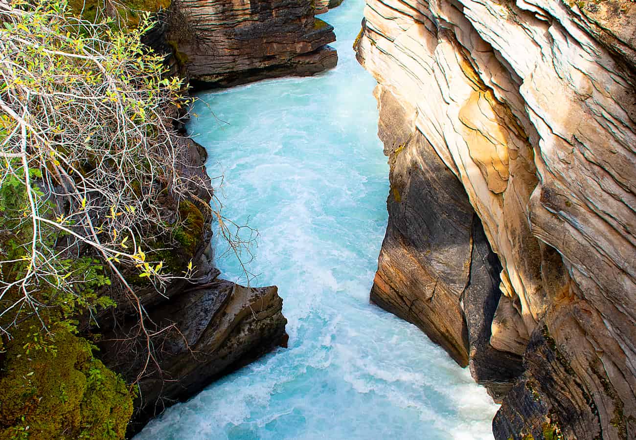 The narrow thunderous rock gorge and churning whirlpools at Athabasca Falls in Jasper