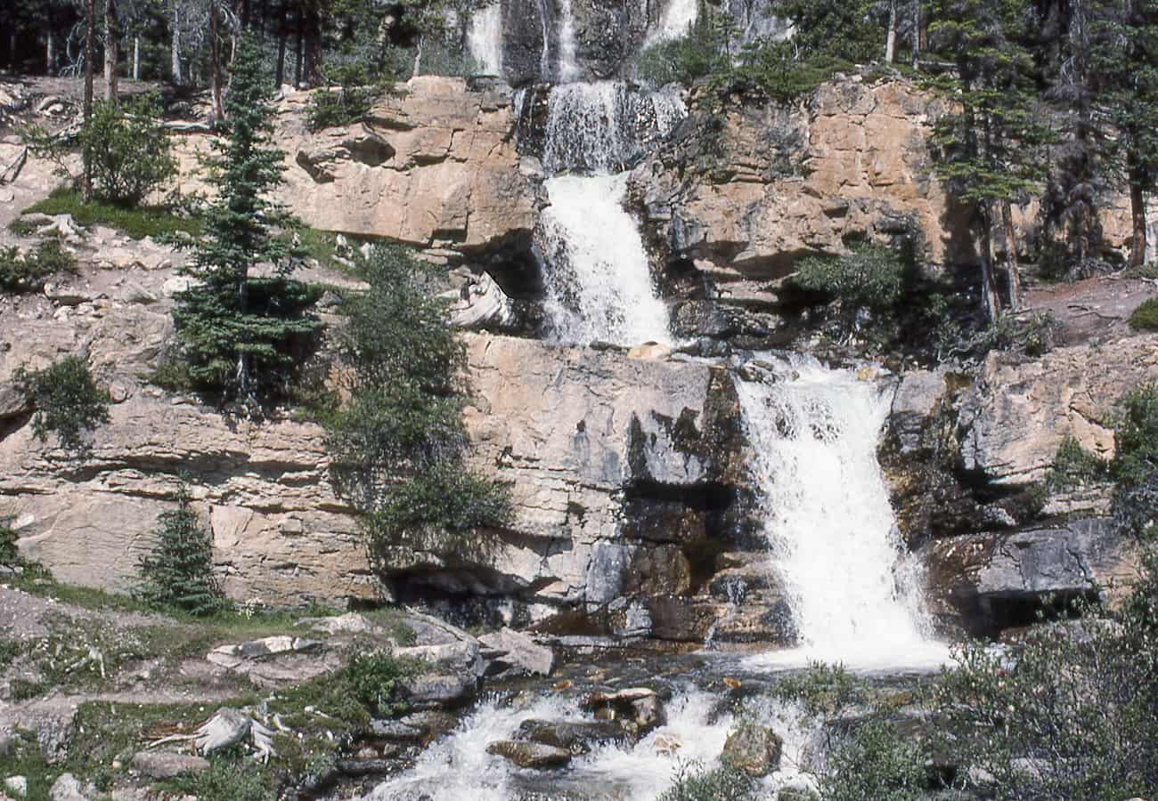The multi-tiered roadside cascades of Tangle Creek Falls tumbling directly beside the highway shoulder