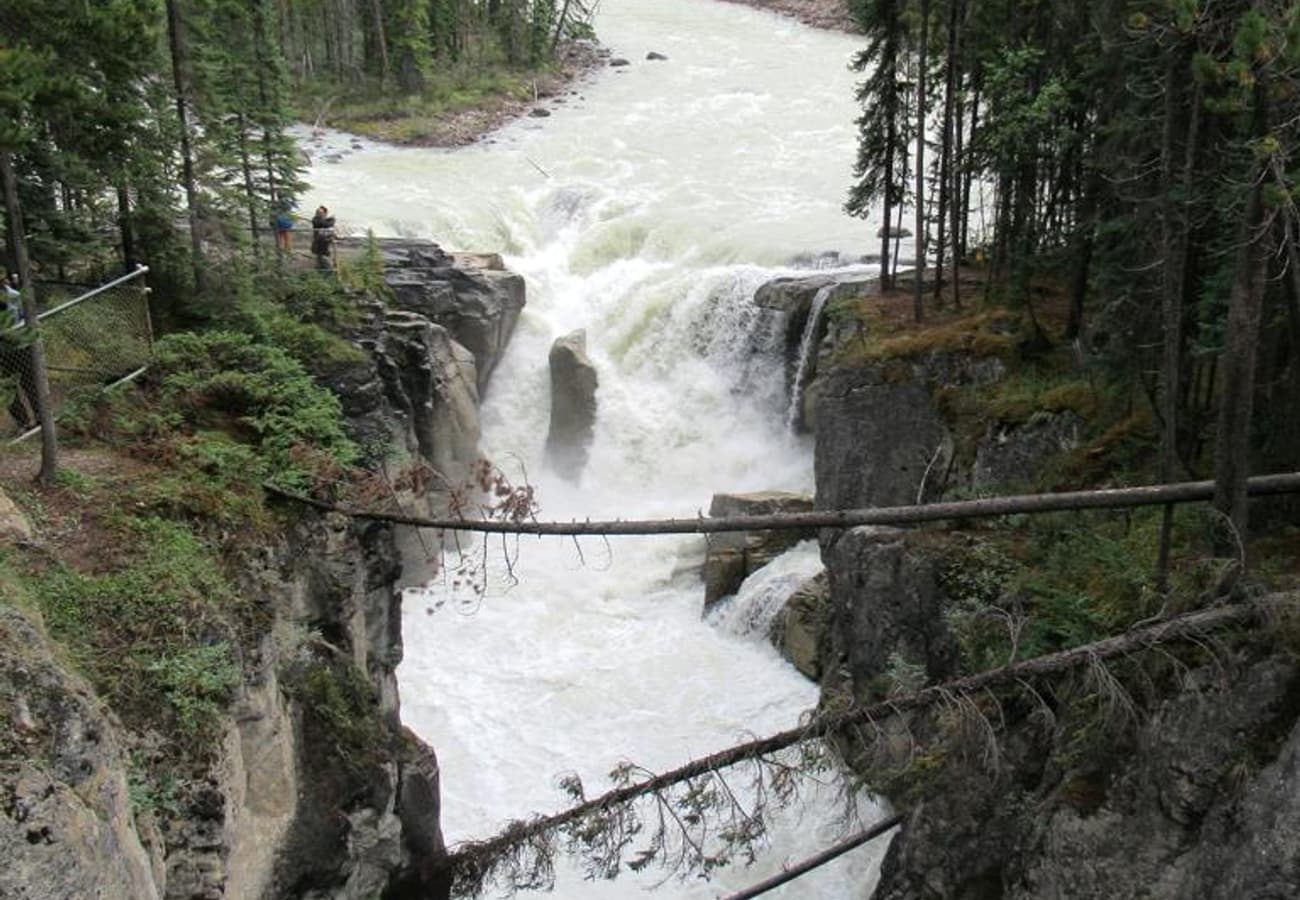 Rushing class-6 glacial rapids carving through deep limestone rock walls at Sunwapta Falls