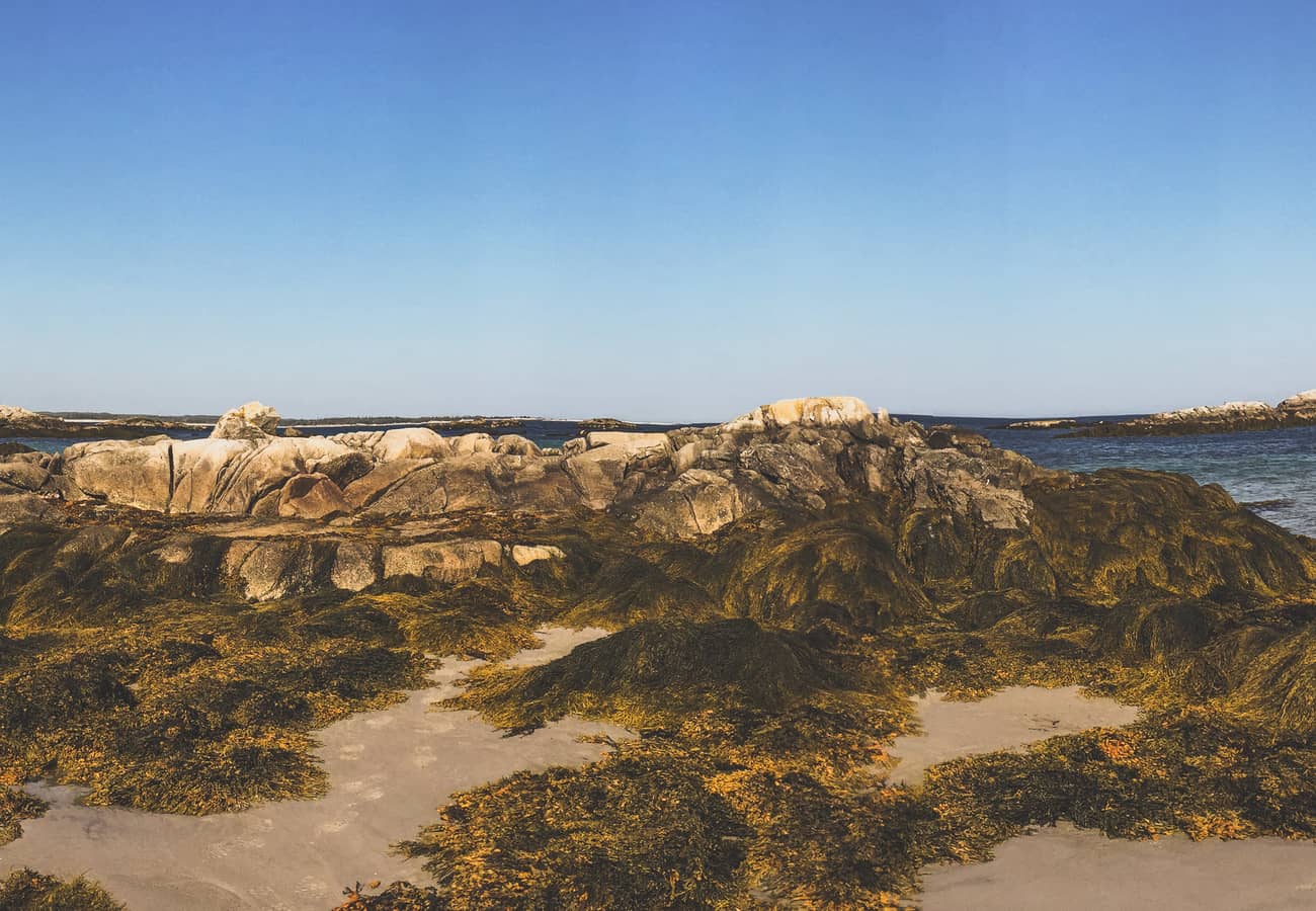 Harbour Rocks at Kejimkujik National Park Seaside