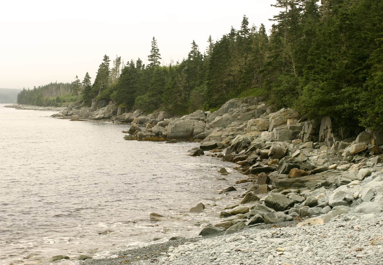 10 Best Maine to Nova Scotia Road Trips Reddit Travelers Recommend in 2026