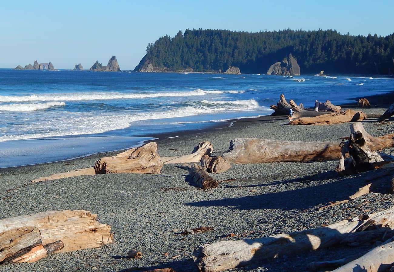 Wild coastal sea stacks and driftwood along Rialto Beach