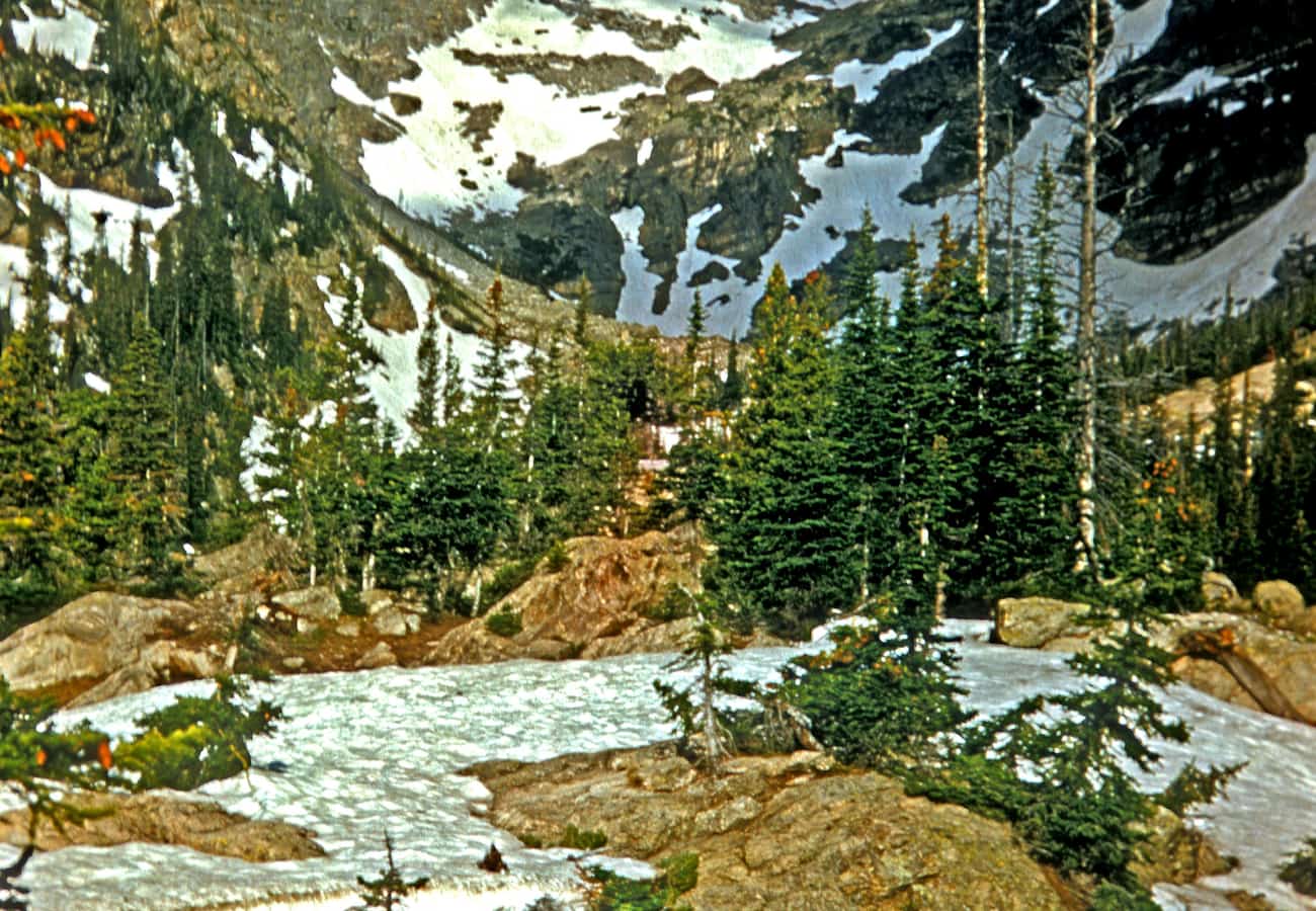 Calm mountain lake mirroring forested peaks in Rocky Mountain National Park