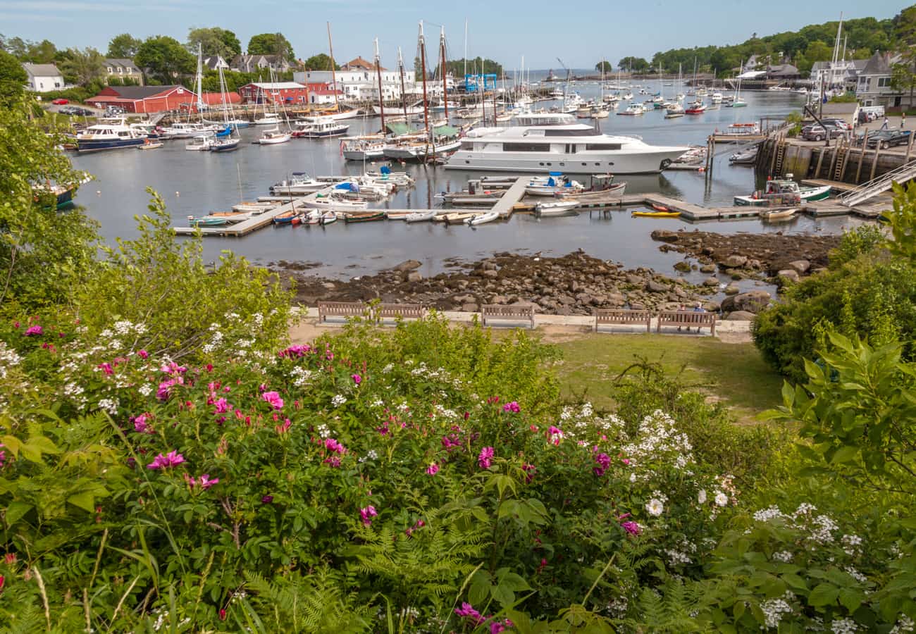 Historic wooden schooners resting in the harbor of Camden Maine