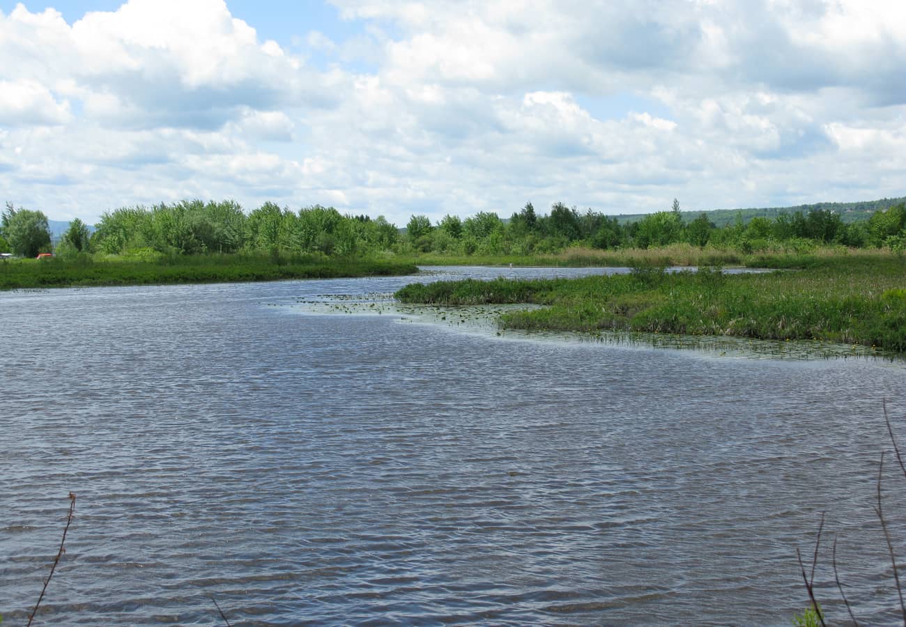 Tranquil lake waters and wetlands in Magog Quebec