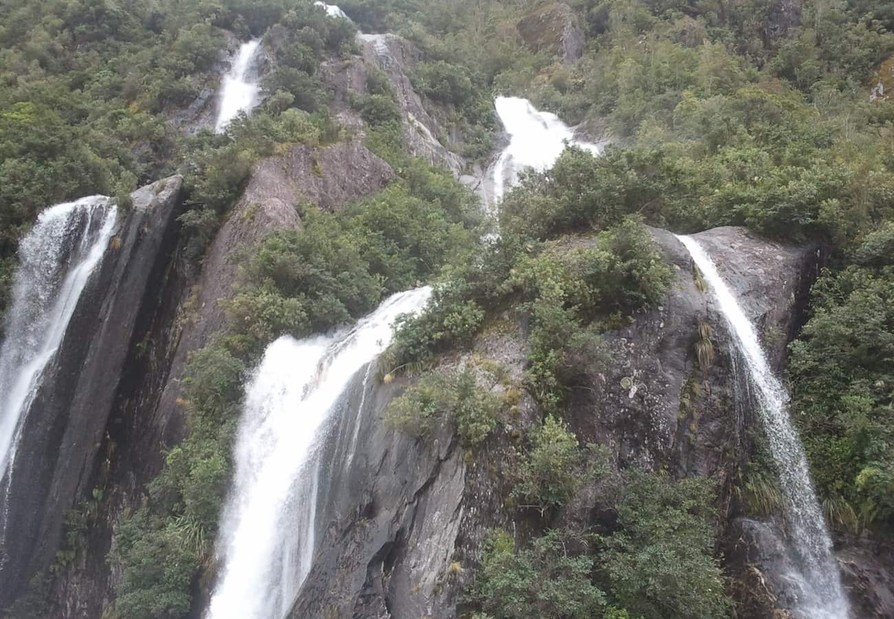 Lush sub-tropical rainforest meeting the roaring Tasman Sea on the West Coast