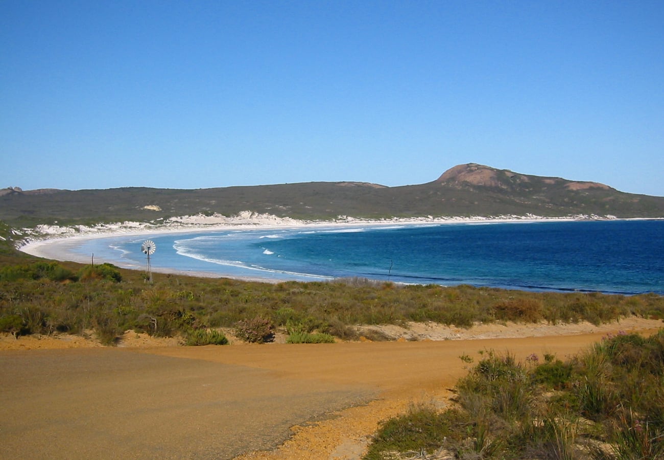 Kangaroos lounging on the pure white sands of Lucky Bay near Esperance