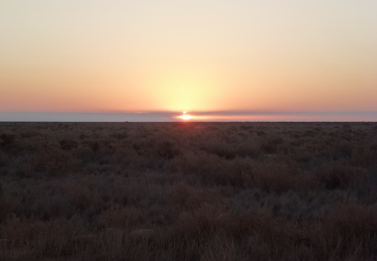Golden outback sunset over the arid scrublands of the Nullarbor Plain