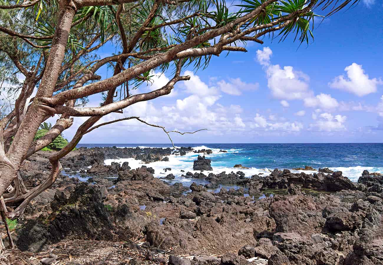 Lush tropical rainforest coastline near Hana on Maui Hawaii