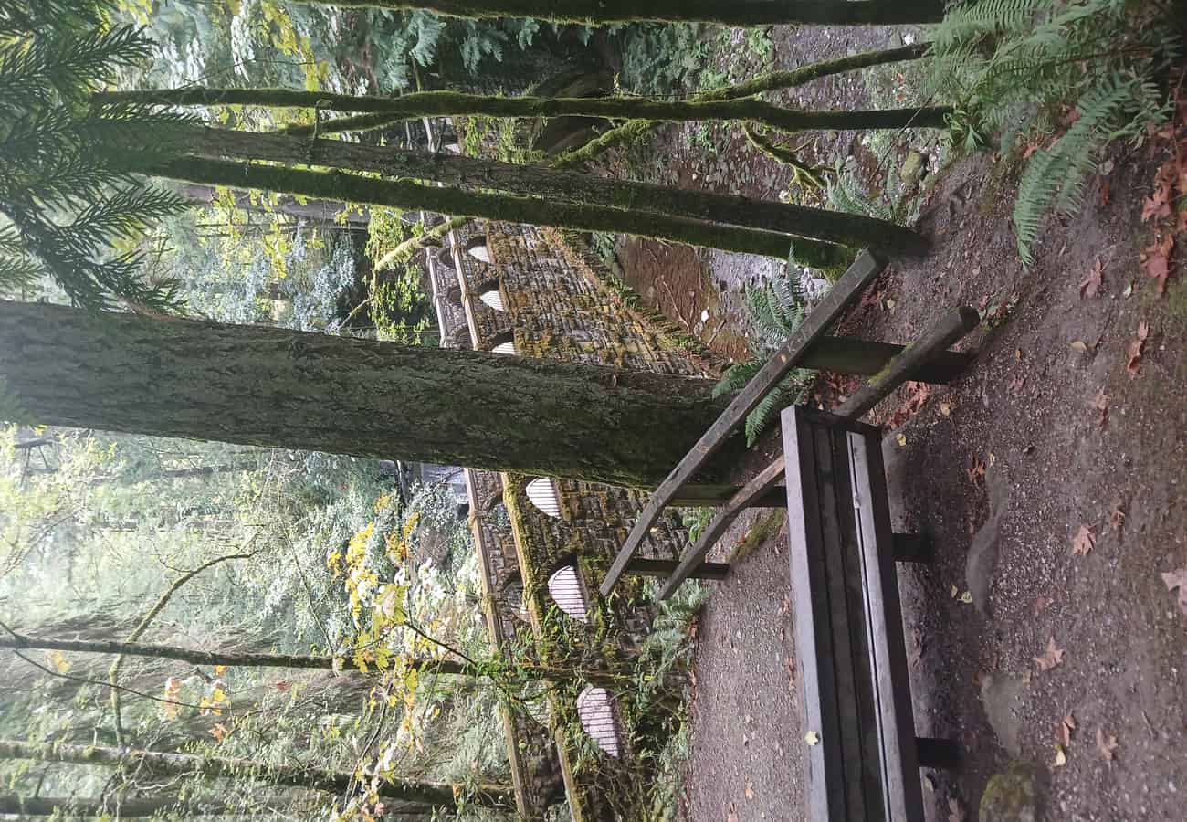 Stone bridge over Whatcom Falls surrounded by lush temperate rainforest in Bellingham