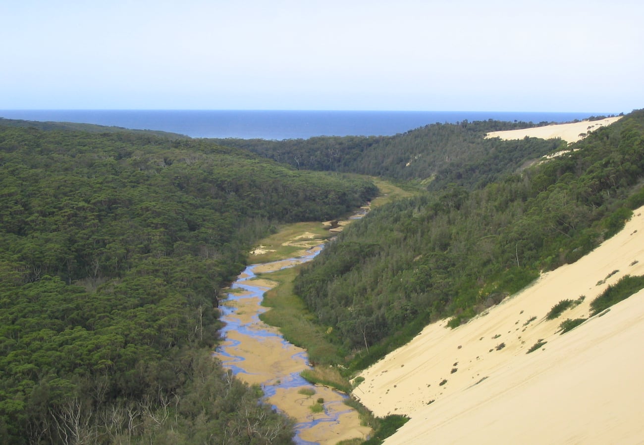 Towering sand dunes along the pristine wilderness of the Thurra River