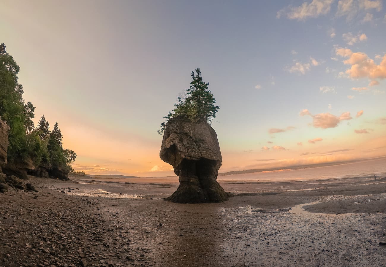Towering flowerpot sandstone formations carved by extreme ocean tides at Hopewell Rocks