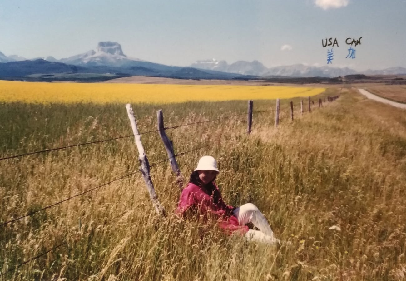 Scenic open prairie fence line marking the international border between Montana and Alberta