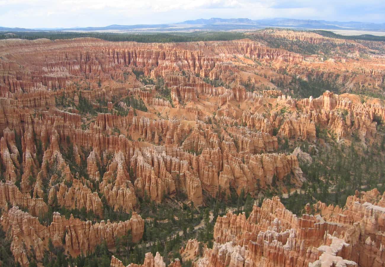 Bryce Canyon amphitheater filled with intricate pink and red limestone hoodoos