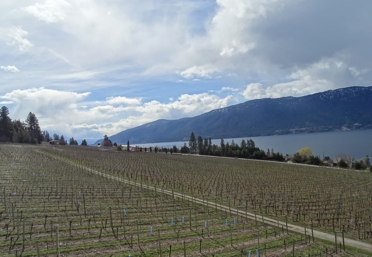 Grey Monk Winery lands overlooking Okanagan Lake in British Columbia