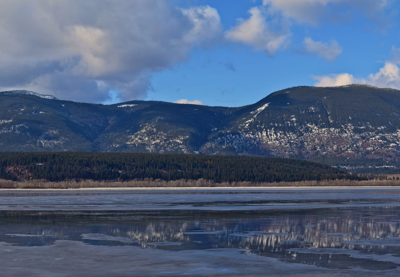 Tranquil blue waters and lush pine-covered shorelines along Shuswap Lake near Salmon Arm