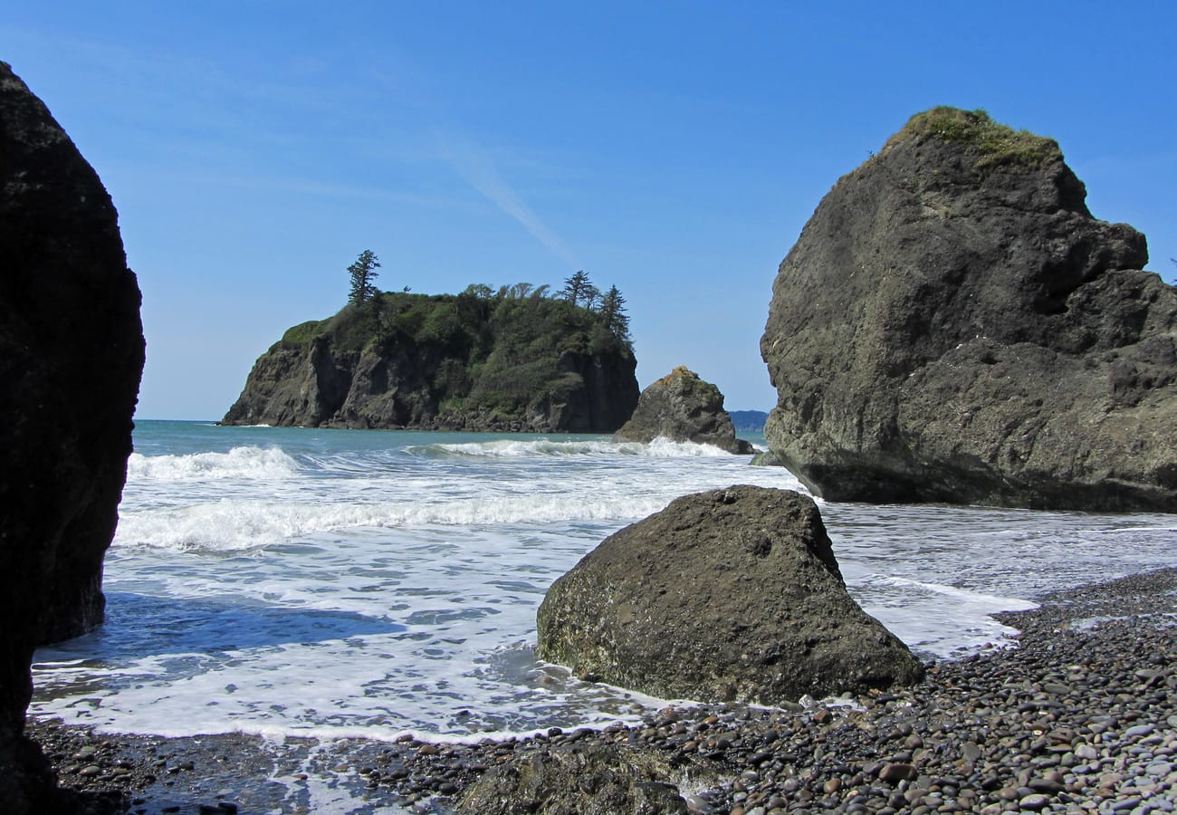 Weathered driftwood and offshore sea stacks shrouded in mist at Ruby Beach on the Olympic Peninsula