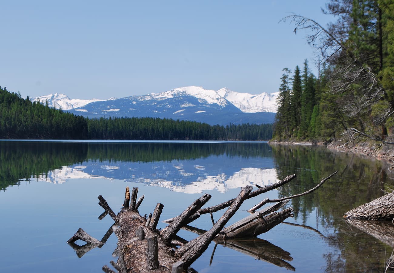 Serene forested shoreline and clear waters of Holland Lake in Seeley-Swan Valley