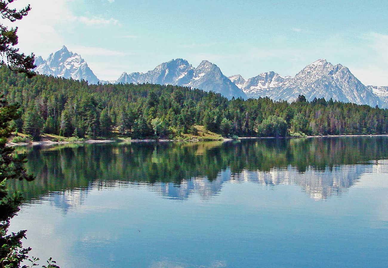 10 Best Yellowstone and Grand Teton Scenic Drives Reddit Travelers Recommend in 2026
