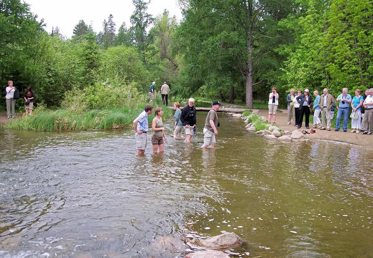 The pristine headwaters of the Mississippi River at Lake Itasca Minnesota