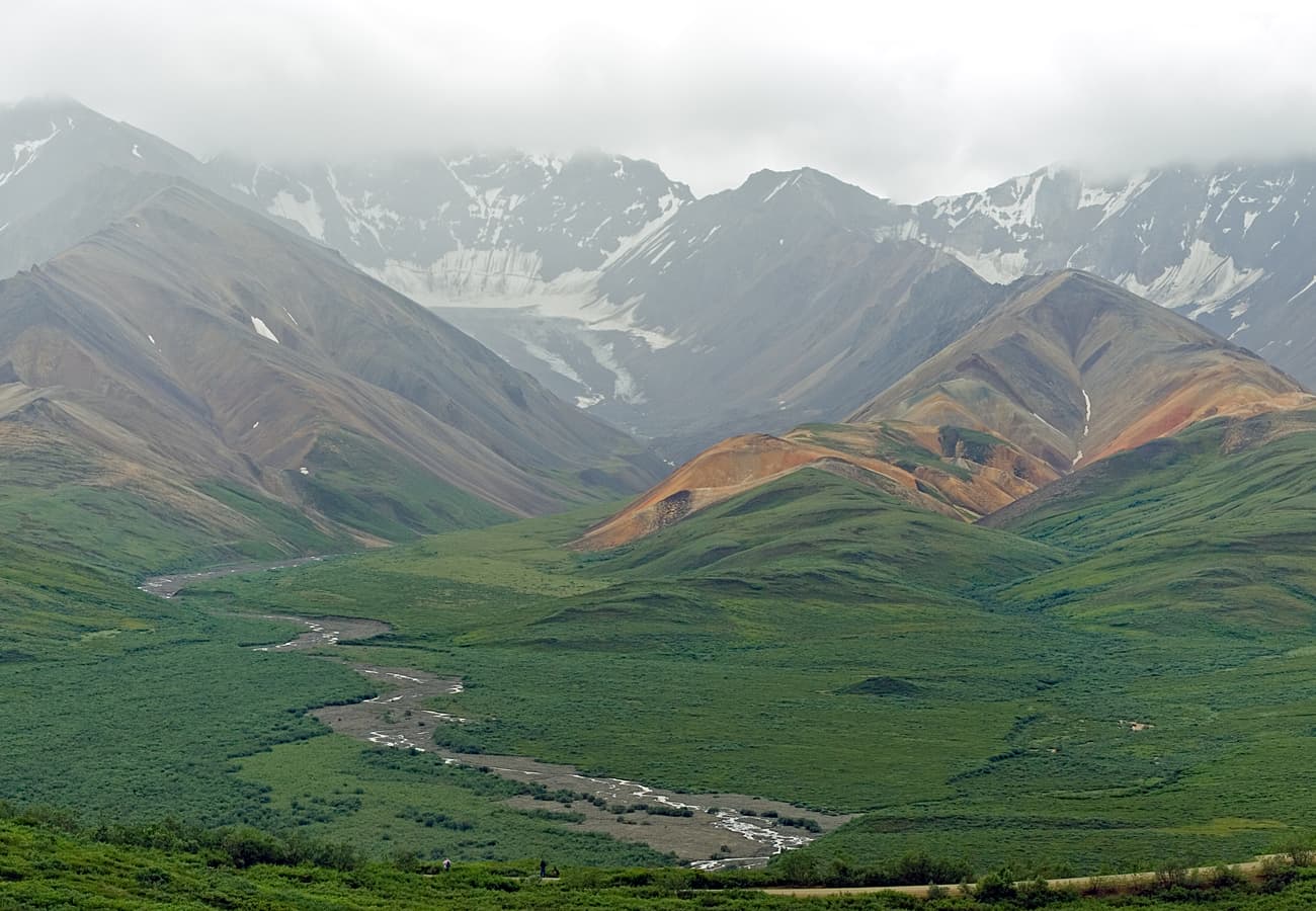 Denali National Park mountain valley along Parks Highway corridor