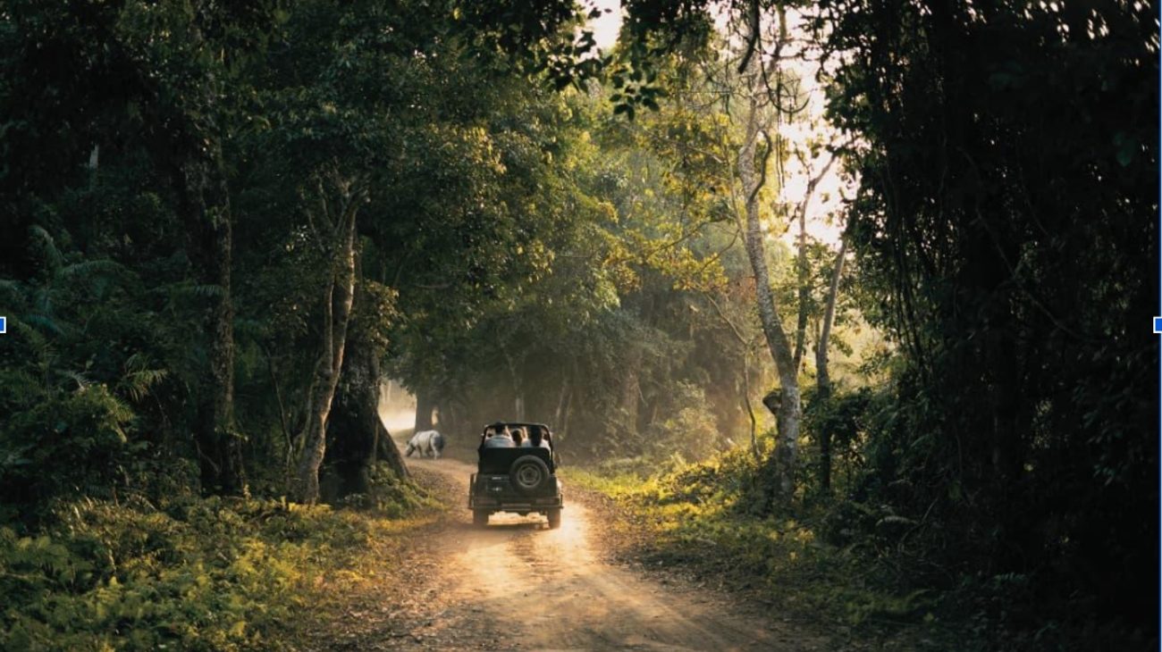 Jeep safari navigating a forest trail in Kaziranga National Park Assam