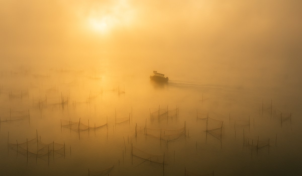 Floating Bridge Scare: 30 Tourists Rescued From Chilika Lake Fog Stranding