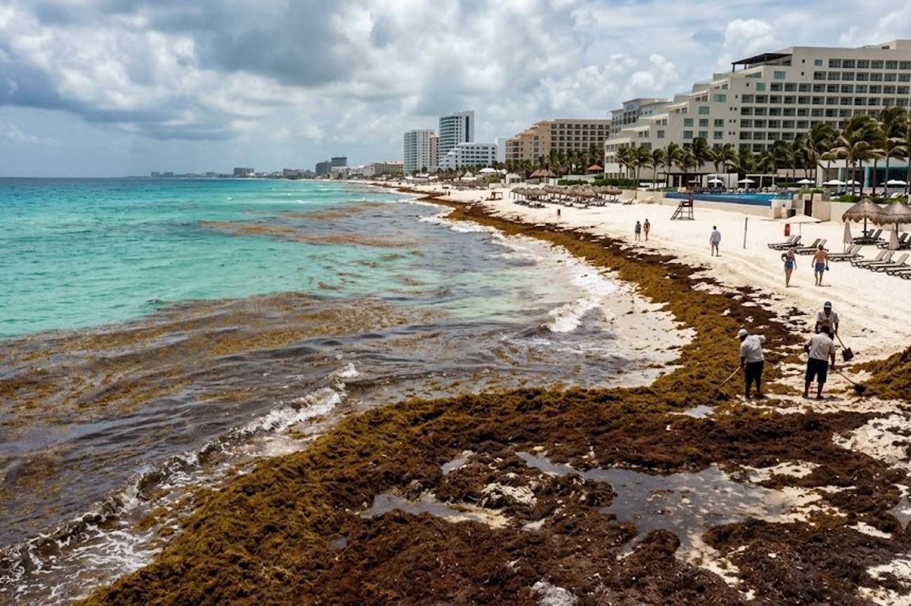 Cancún Aligns With Cozumel and Others as Record Sargassum Threatens Mexico Beach Tourism in Late 2026
