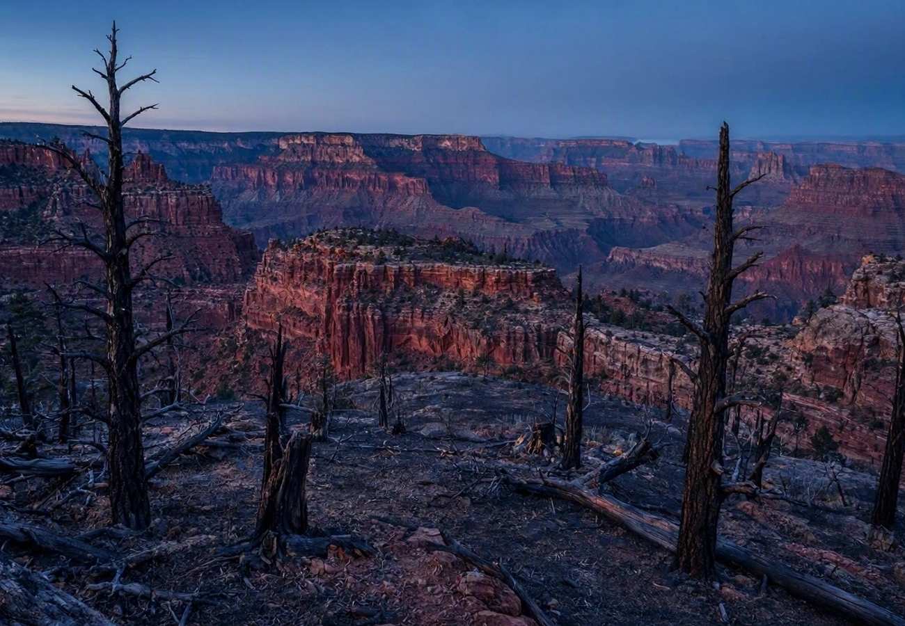 Grand Canyon North Rim Travel Alert 2026: Logistics After Dragon Bravo Fire and Flooding