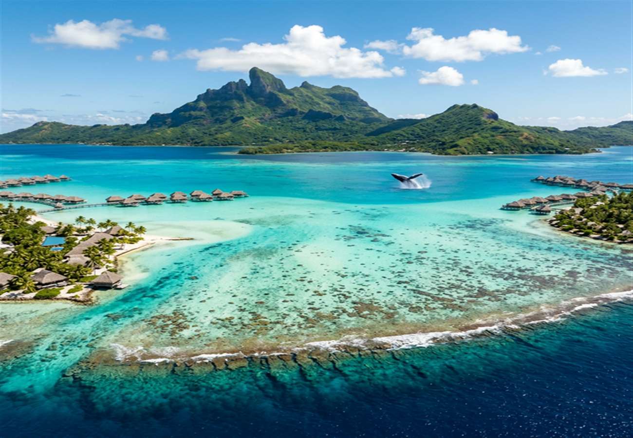 When to Visit Bora Bora for Sunshine, Savings, and Whale Adventures (2026)