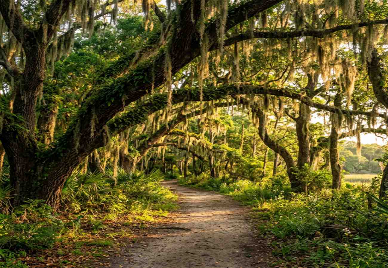 Best Travel Seasons for Visiting South Carolina's Hidden Gems (2026)
